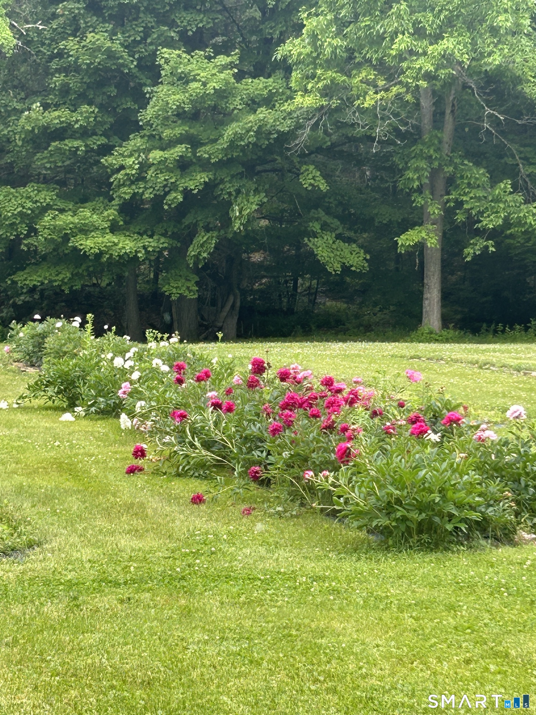 494 Nonnewaug Road Bethlehem CT 06751