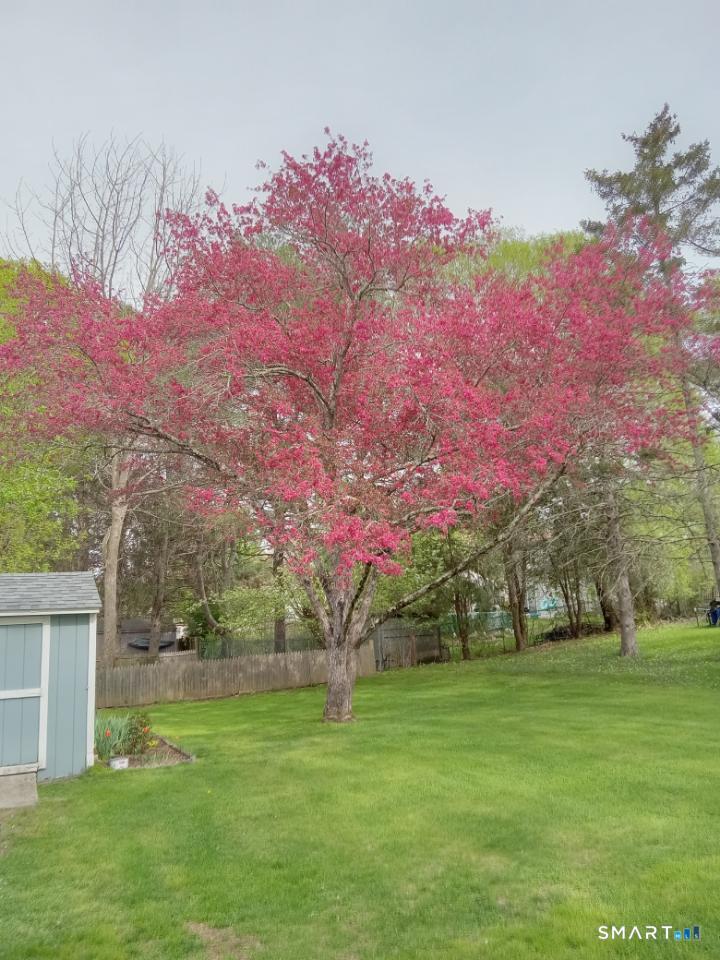 360 South Street Windham CT 06226