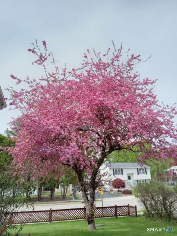 360 South Street Windham CT 06226