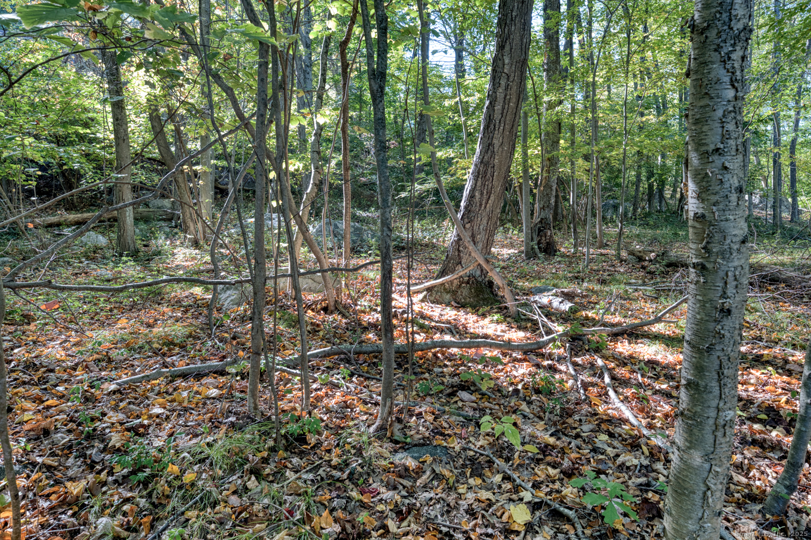 20 Lower Lake Road Danbury CT 06811