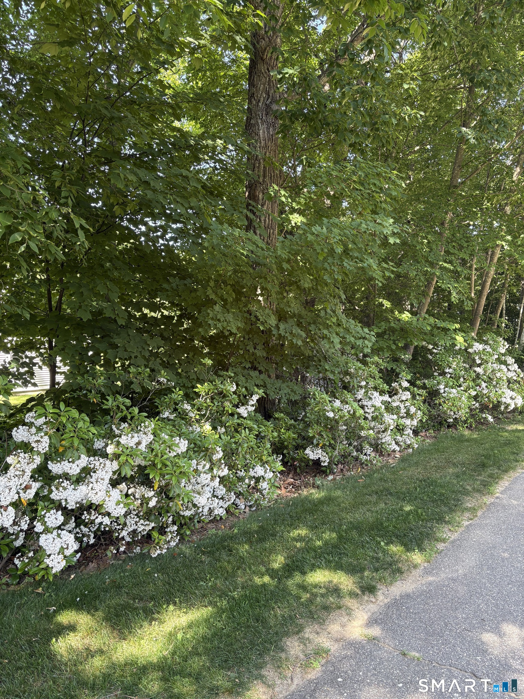 27 Hearthstone Drive Barkhamsted CT 06063