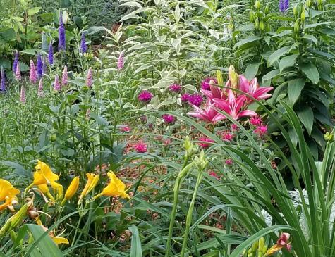 14 North Phillips Street Waterford CT 06385