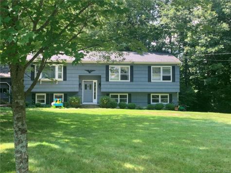 52 Lake Road Woodbury CT 06798