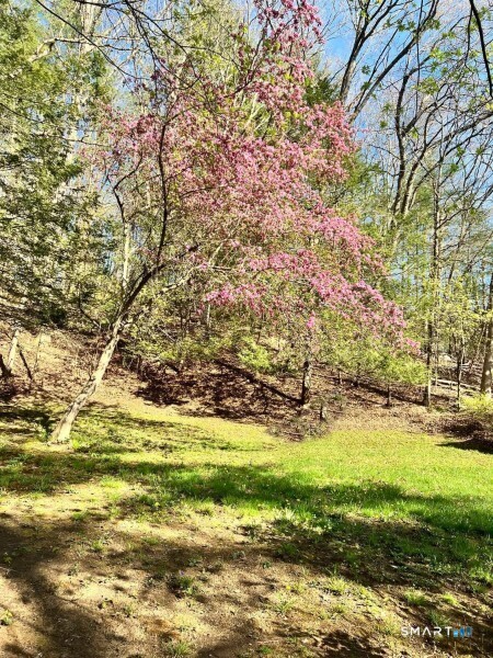 23 Baxter Road Willington CT 06279