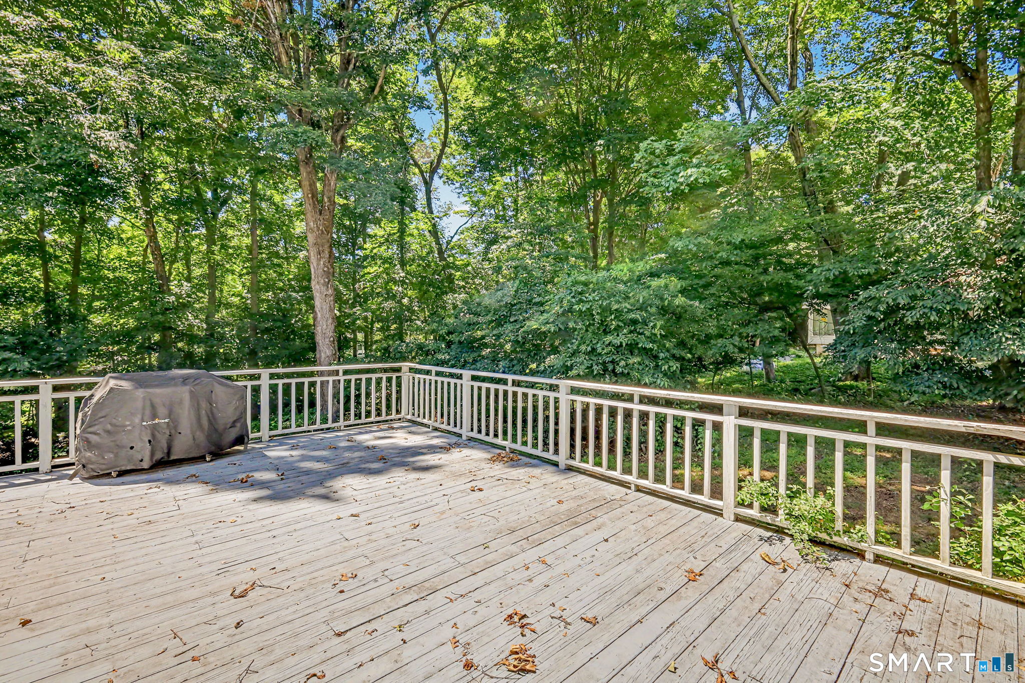 32 Arbor Road Stamford CT 06903