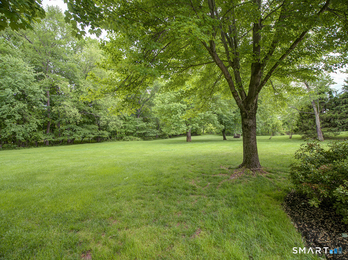 701 Andrea Court Cheshire CT 06410