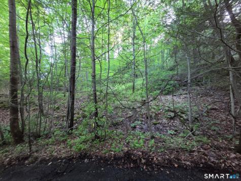 33 Davis Road Harwinton CT 06791