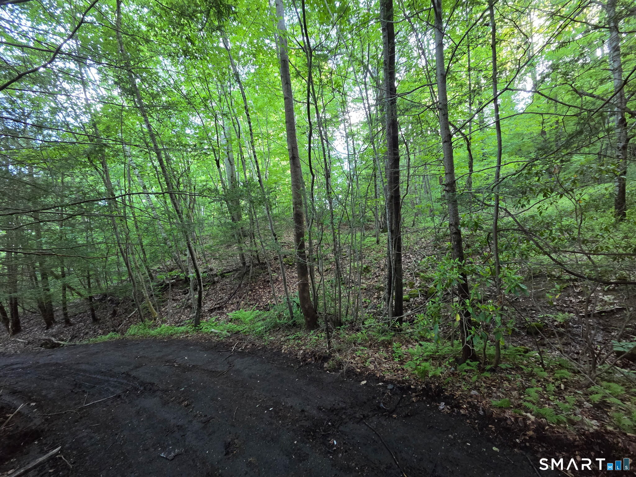 33 Davis Road Harwinton CT 06791