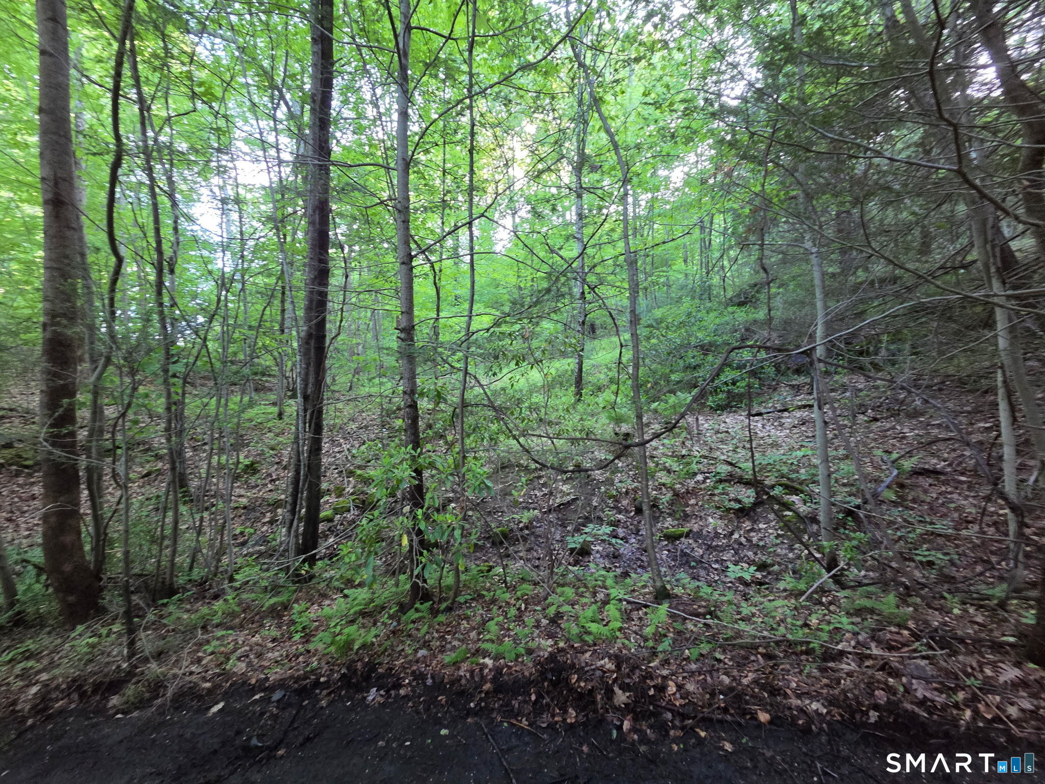 33 Davis Road Harwinton CT 06791