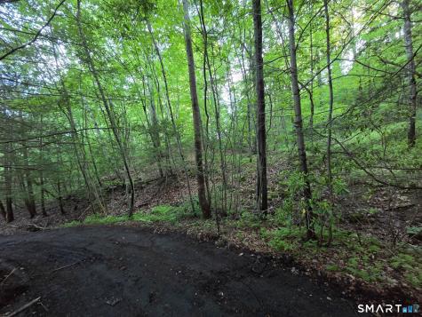 33 Davis Road Harwinton CT 06791