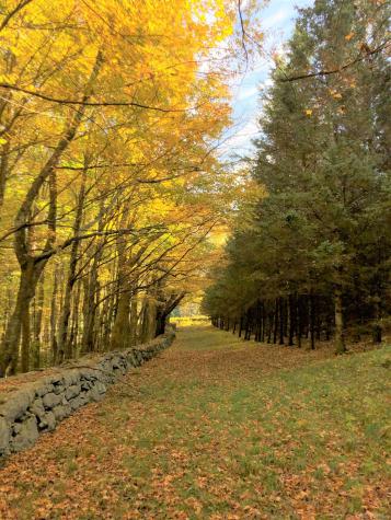 77 Deer Hill Road Colebrook CT 06021