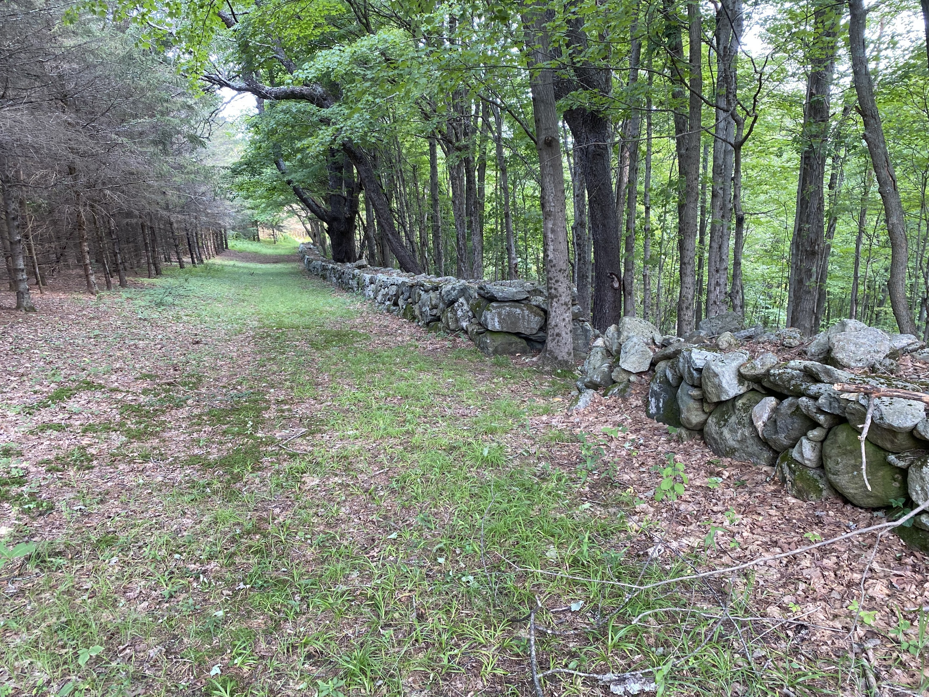 77 Deer Hill Road Colebrook CT 06021
