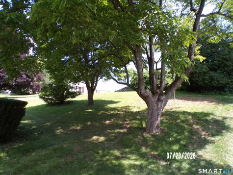 Ansonia CT 06401