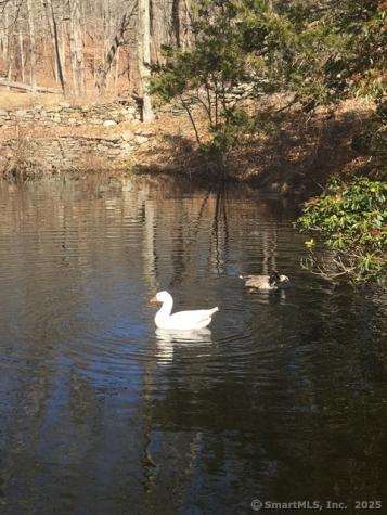 11 Phelps Road East Haddam CT 06423