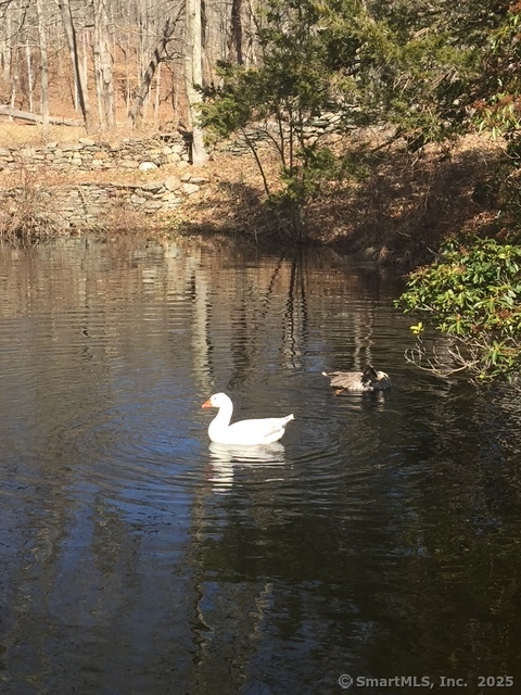 11 Phelps Road East Haddam CT 06423