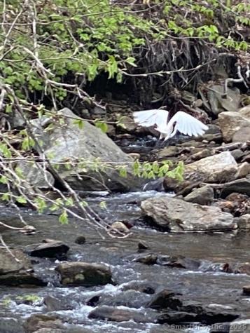 11 Phelps Road East Haddam CT 06423