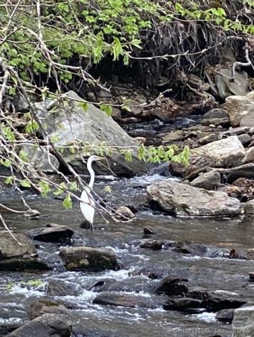 11 Phelps Road East Haddam CT 06423