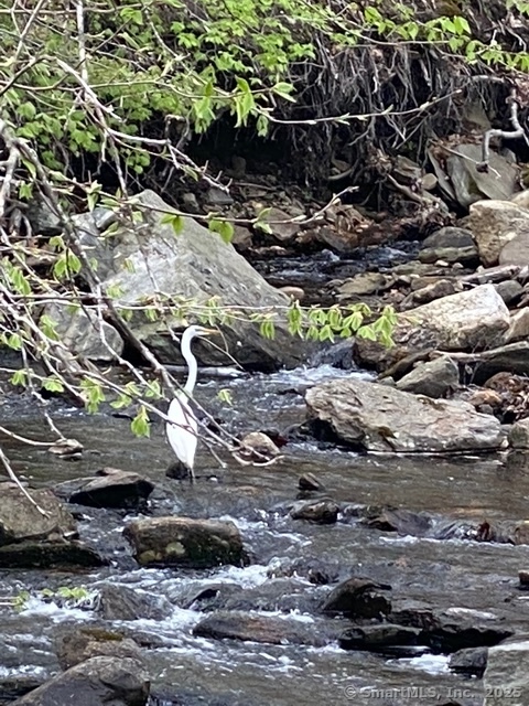 11 Phelps Road East Haddam CT 06423