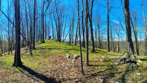 35 Poverty Hollow Road Newtown CT 06470