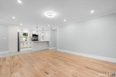 28 Spruce Mountain Road Danbury CT 06810