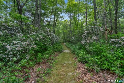 384 Beaver Meadow Road Haddam CT 06438