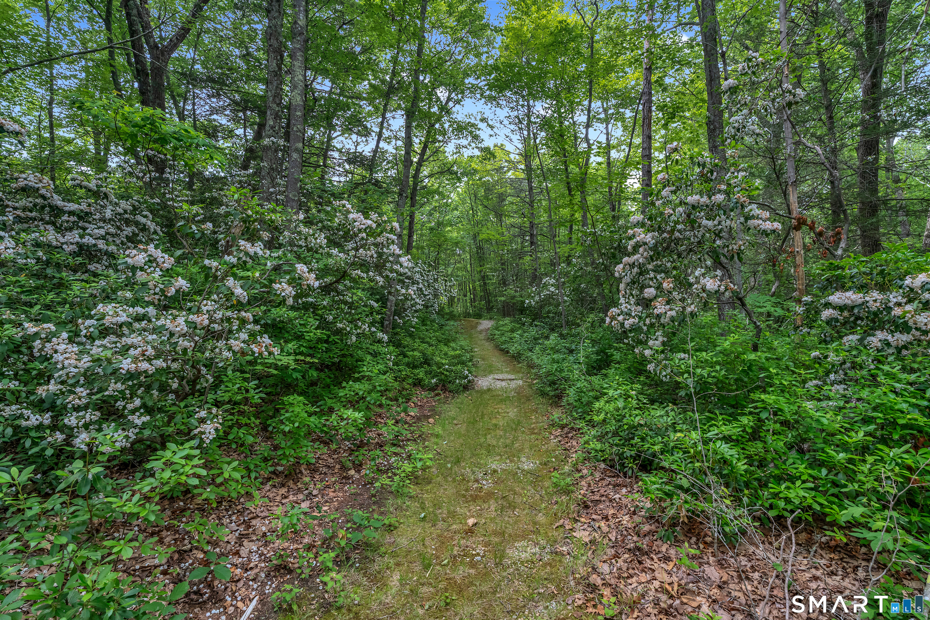 384 Beaver Meadow Road Haddam CT 06438