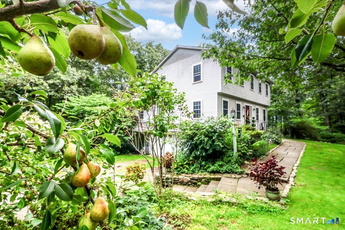 323 Upper Grassy Hill Road Woodbury CT 06798