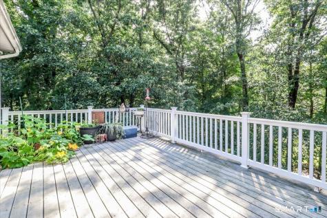 323 Upper Grassy Hill Road Woodbury CT 06798