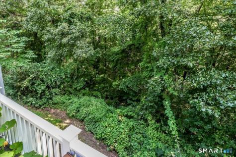 323 Upper Grassy Hill Road Woodbury CT 06798