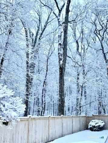 86 Middlesex Road Darien CT 06820