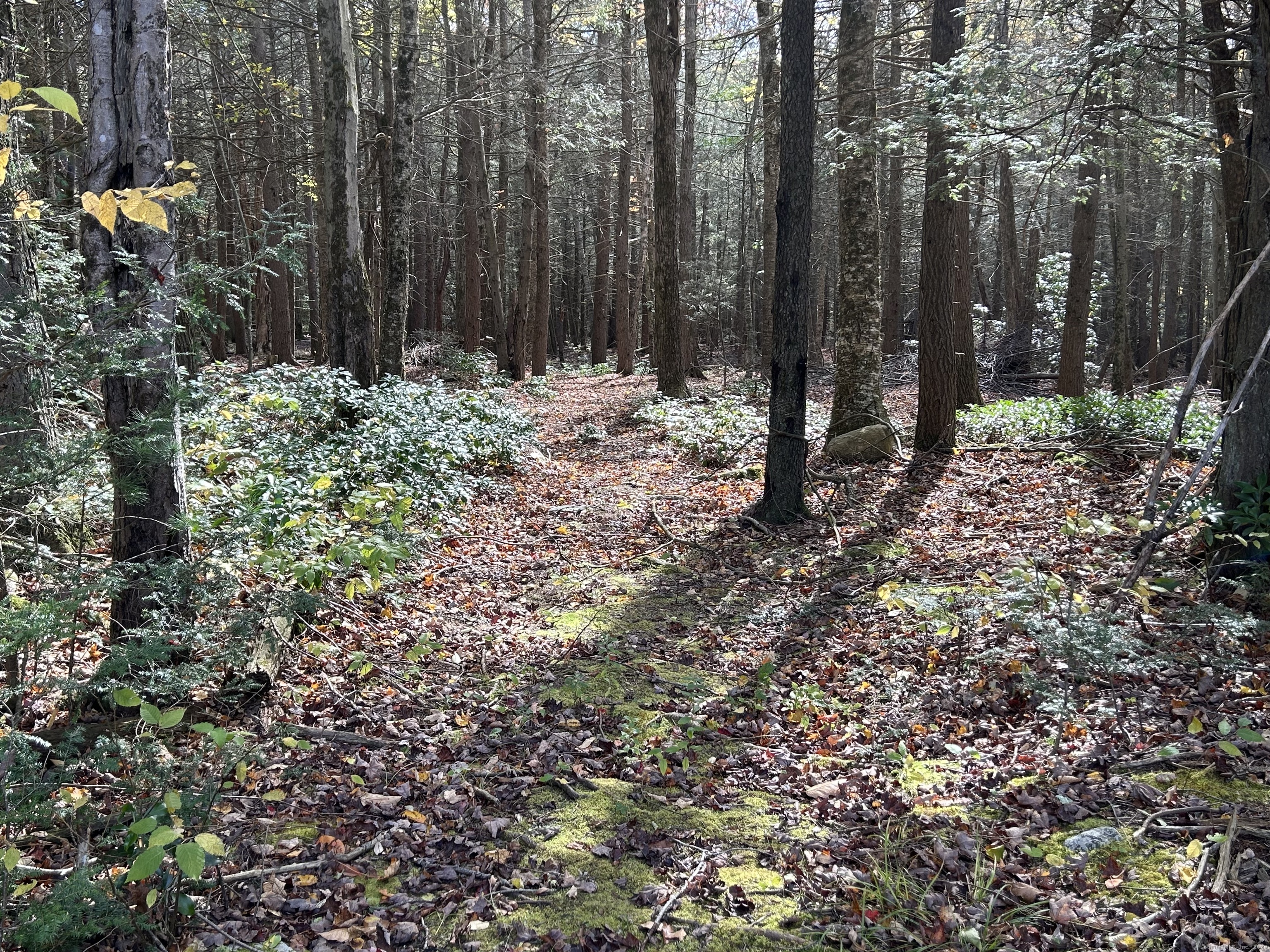 106A Pinney Street Colebrook CT 06021