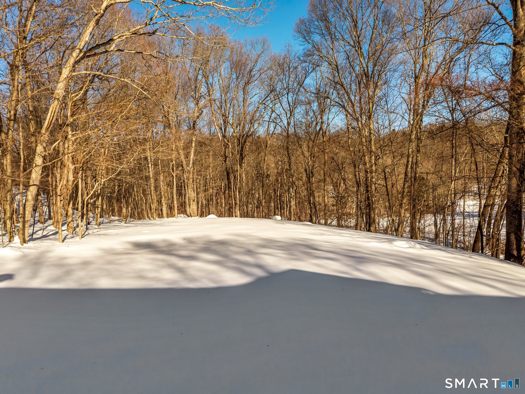 14 Briar Road Bethany CT 06524