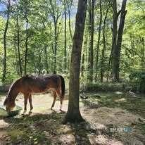 81 West Morris Road Washington CT 06763