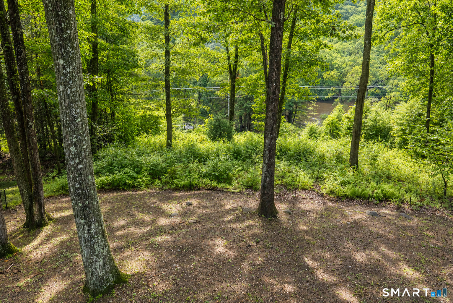229 New Road Avon CT 06001
