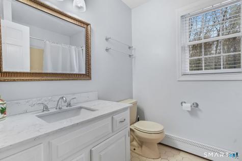 46 Little Brook Lane Newtown CT 06470