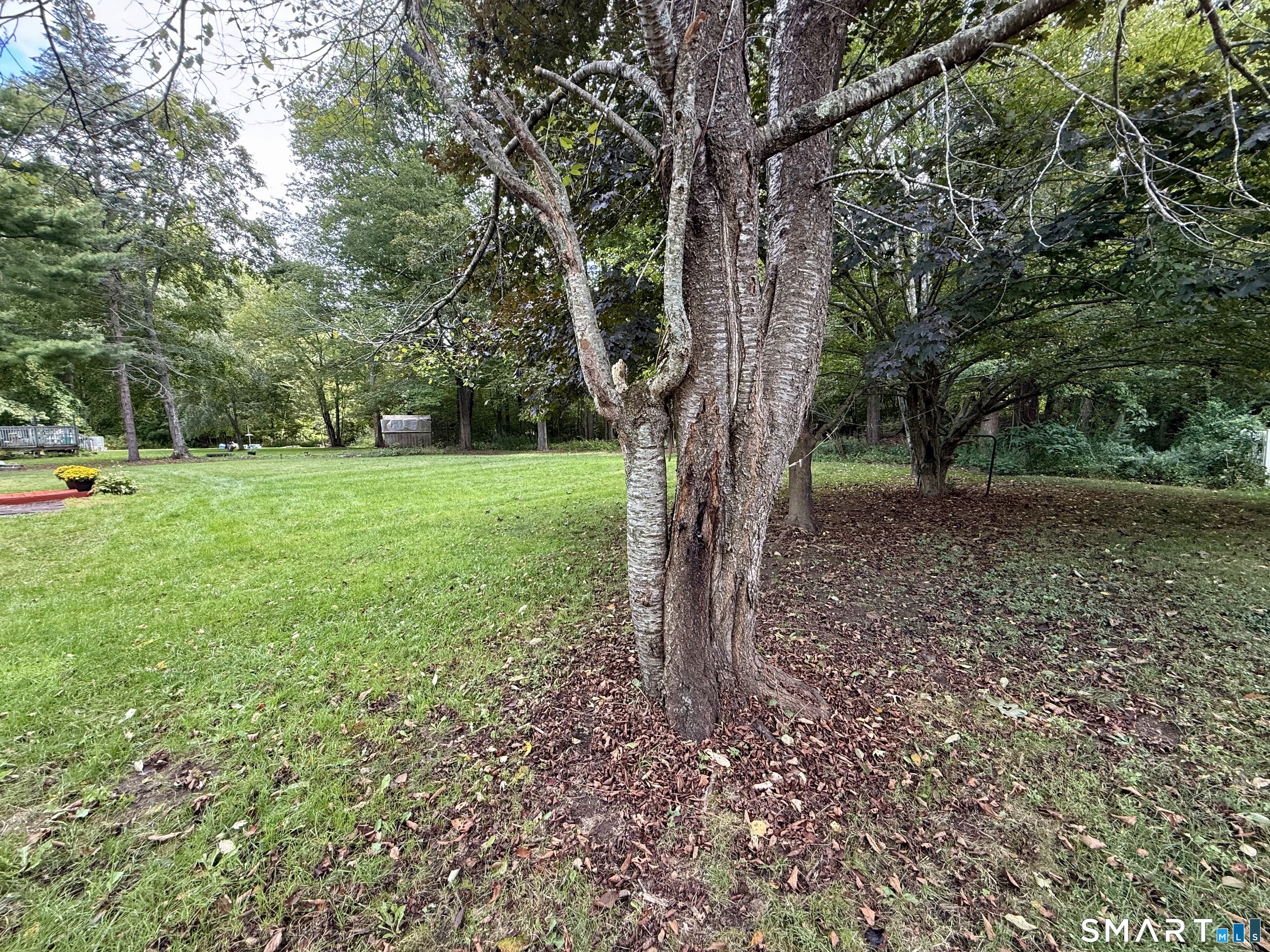 26 Francis Drive Lebanon CT 06249