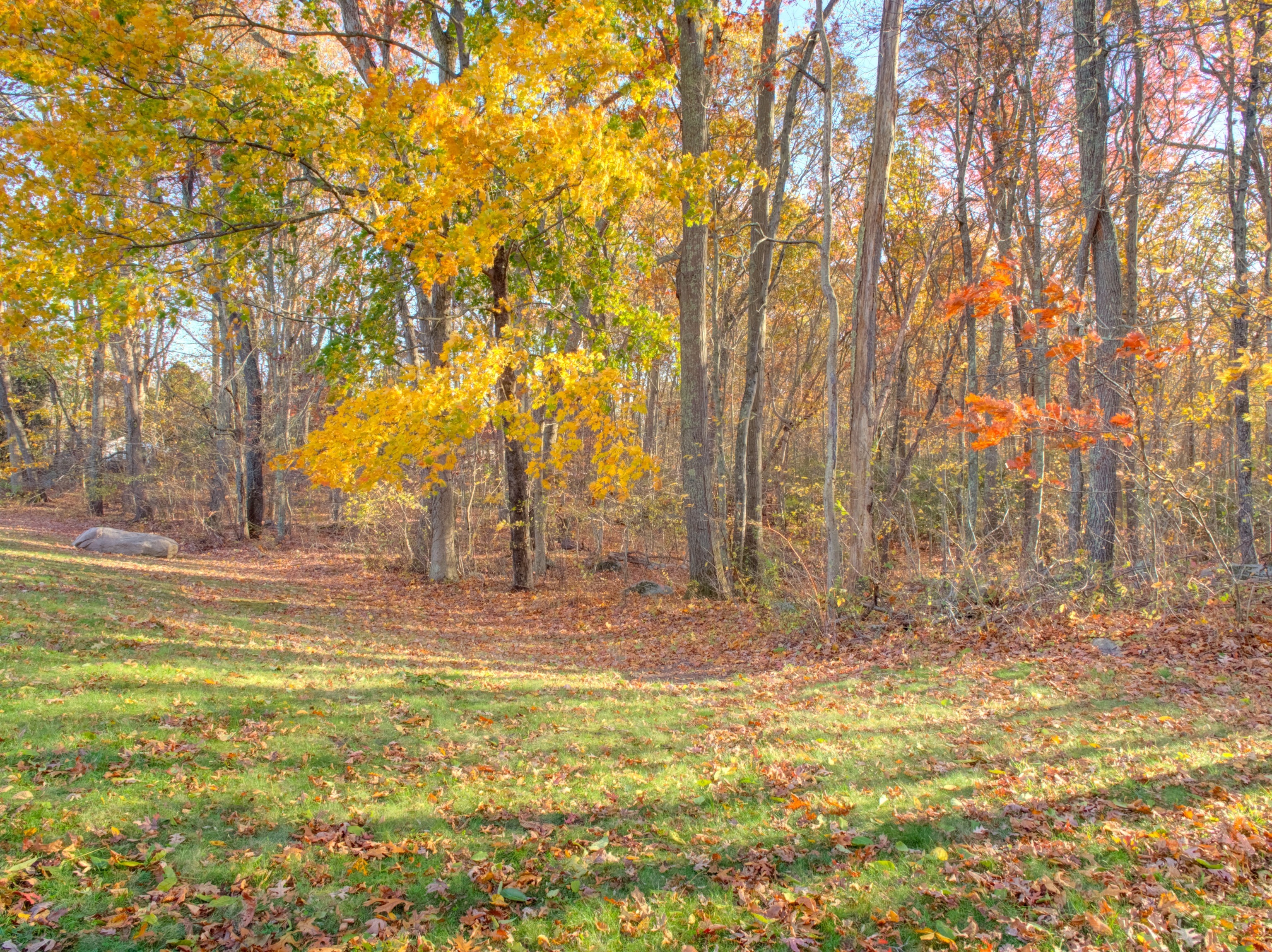 932 Long Cove Road Ledyard CT 06335