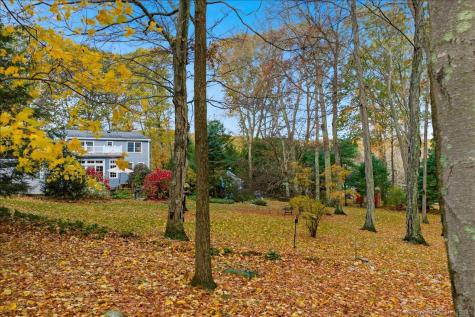 31 Whittlesey Brook Road Deep River CT 06417