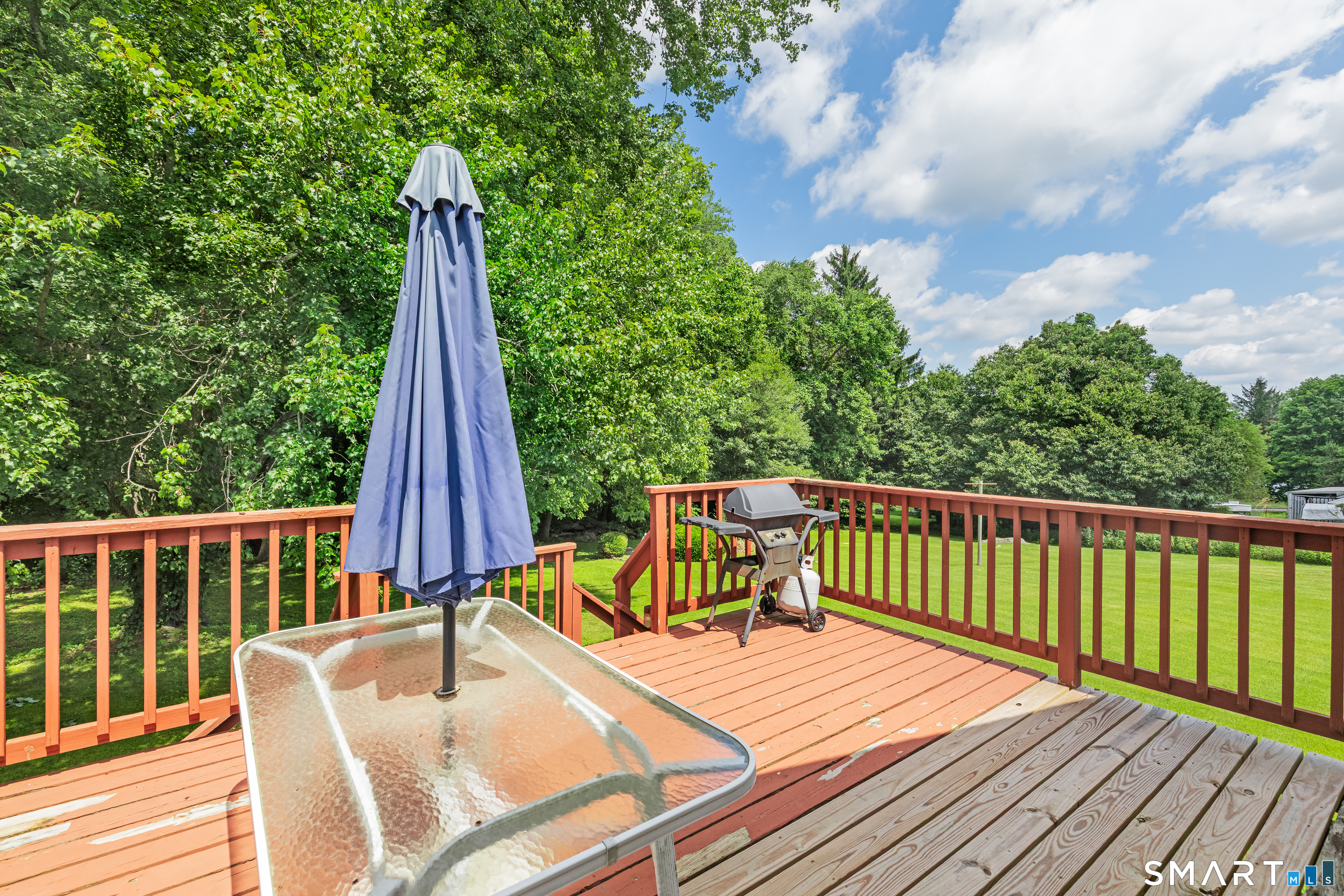 45 Peach Drive Seymour CT 06483
