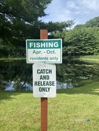 25 Rte 197 Route Woodstock CT 06281