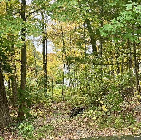 19 Glenbrook Drive Simsbury CT 06092