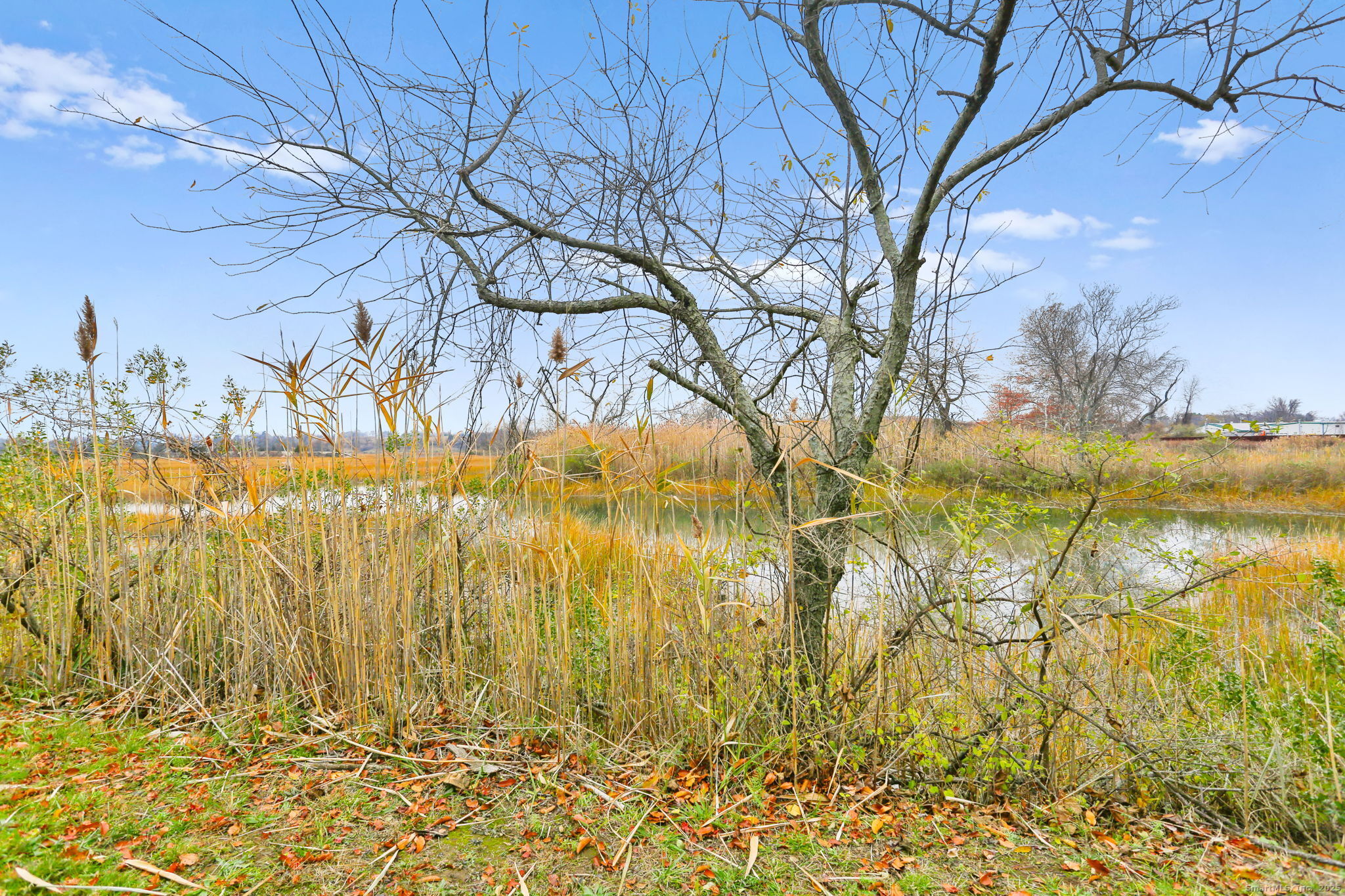 1235 Fairfield Beach Road Fairfield CT 06824