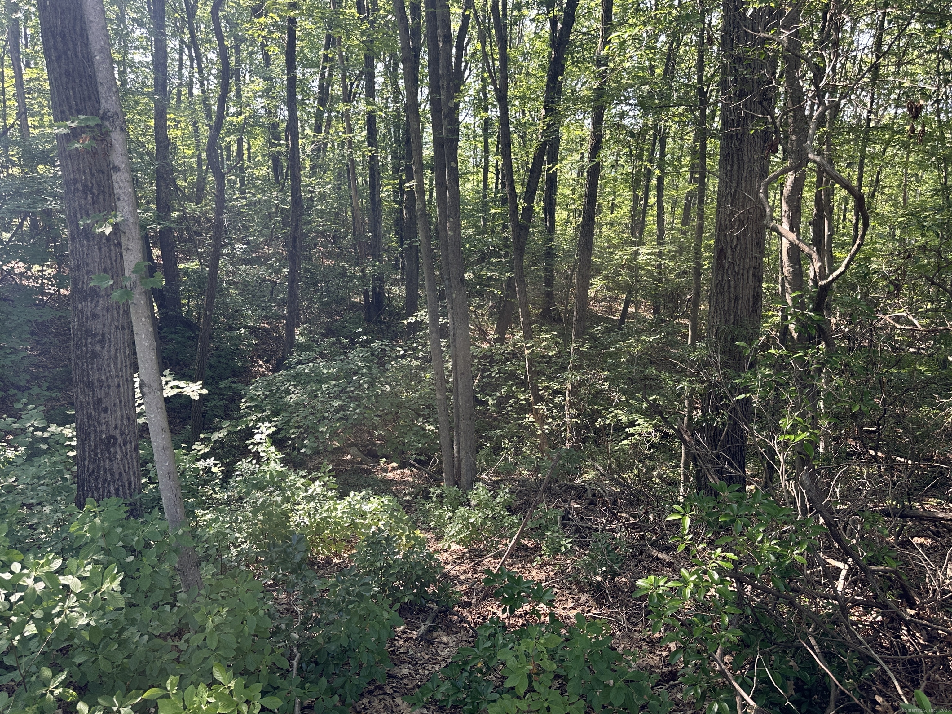 52 Quarry Lane Hamden CT 06518