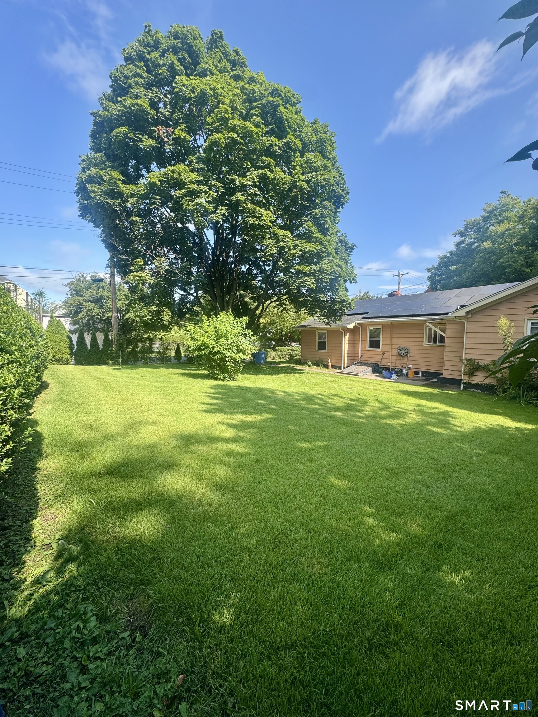 172 Mitchell Drive New Haven CT 06511