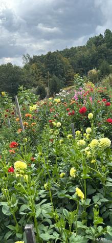 144 Hnath Road Ashford CT 06278