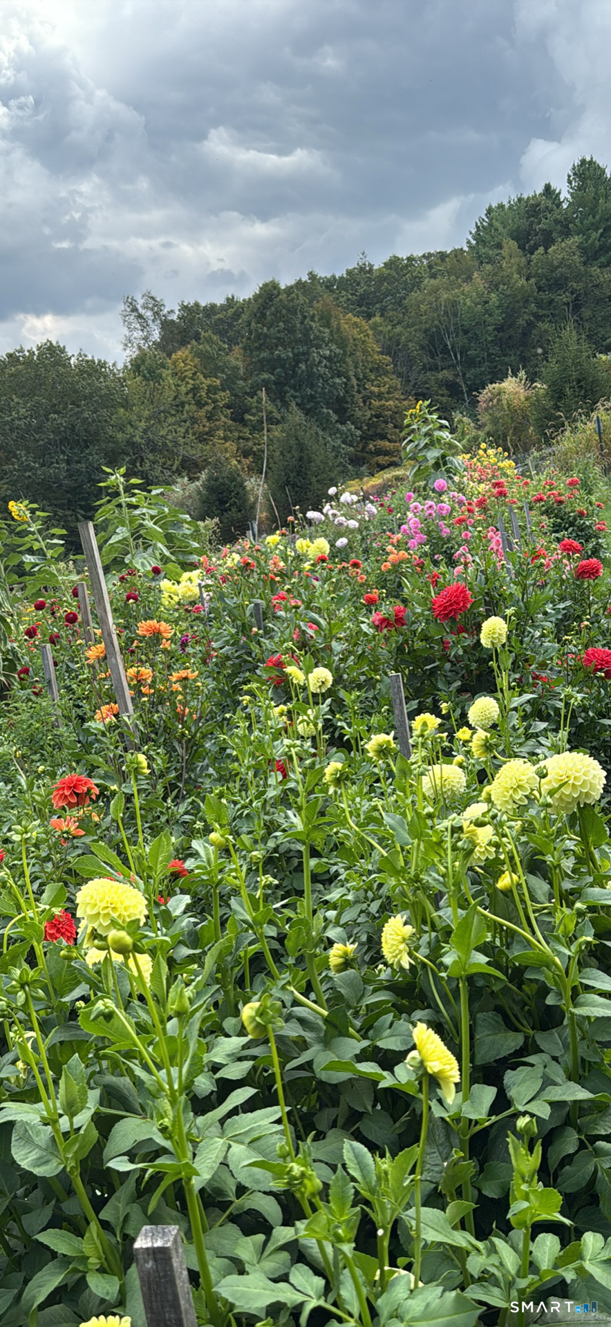 144 Hnath Road Ashford CT 06278