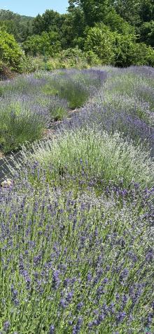 144 Hnath Road Ashford CT 06278