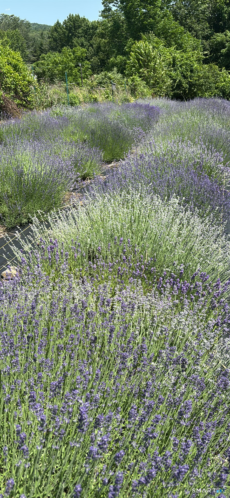 144 Hnath Road Ashford CT 06278