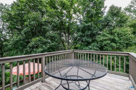 41 Mcnulty Drive New Milford CT 06776