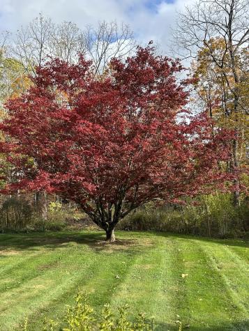 8 Main North Street Bethlehem CT 06751